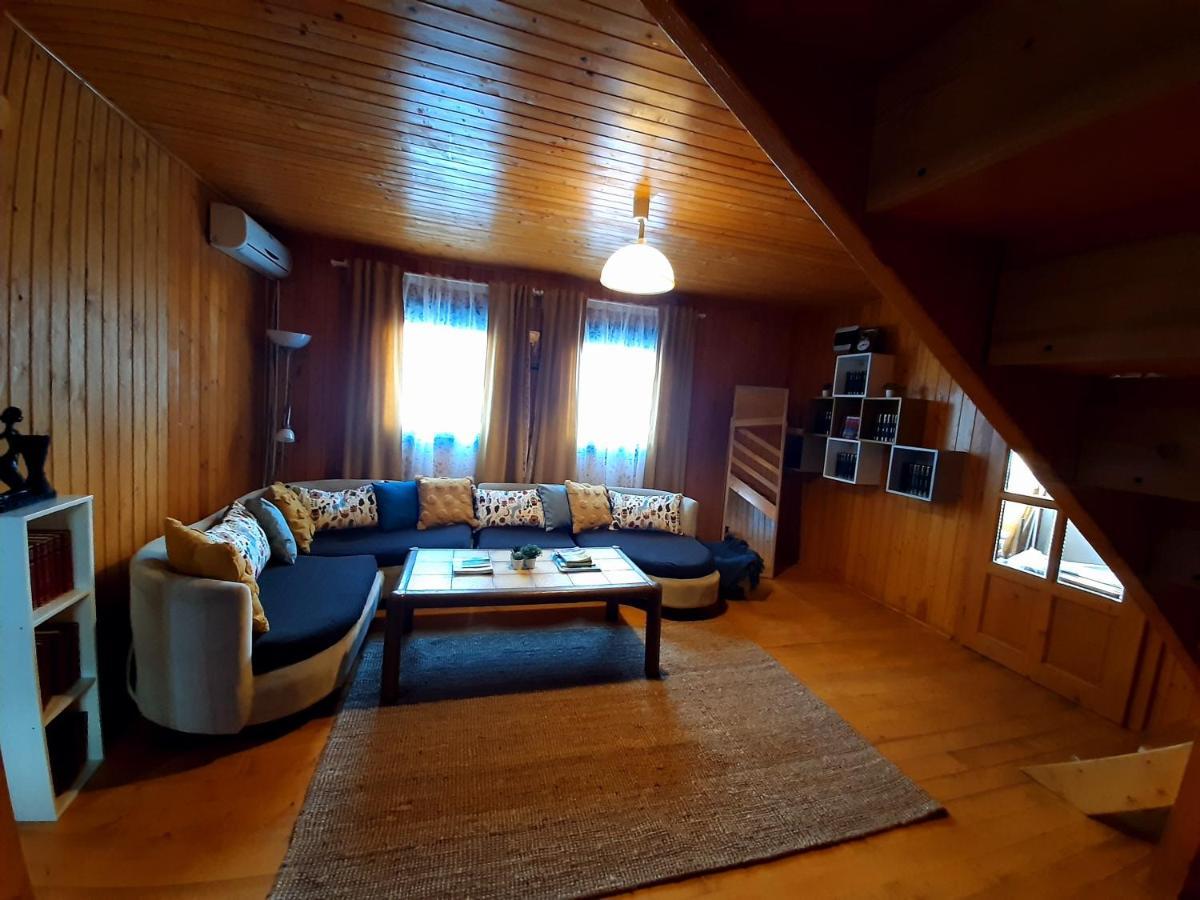 Pensiunea Valurile Dunarii Sfantu Gheorghe  Luaran gambar